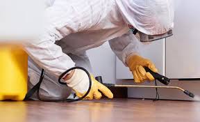 Best Residential Pest Control  in Maiden, NC